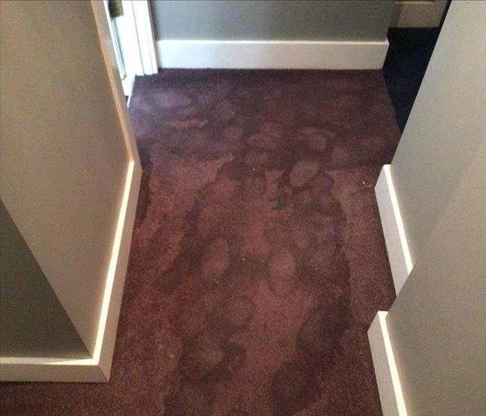 Damaged carpet due to flooding