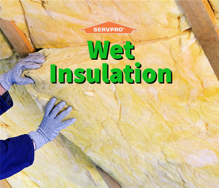 Wet insulation in an Athens home